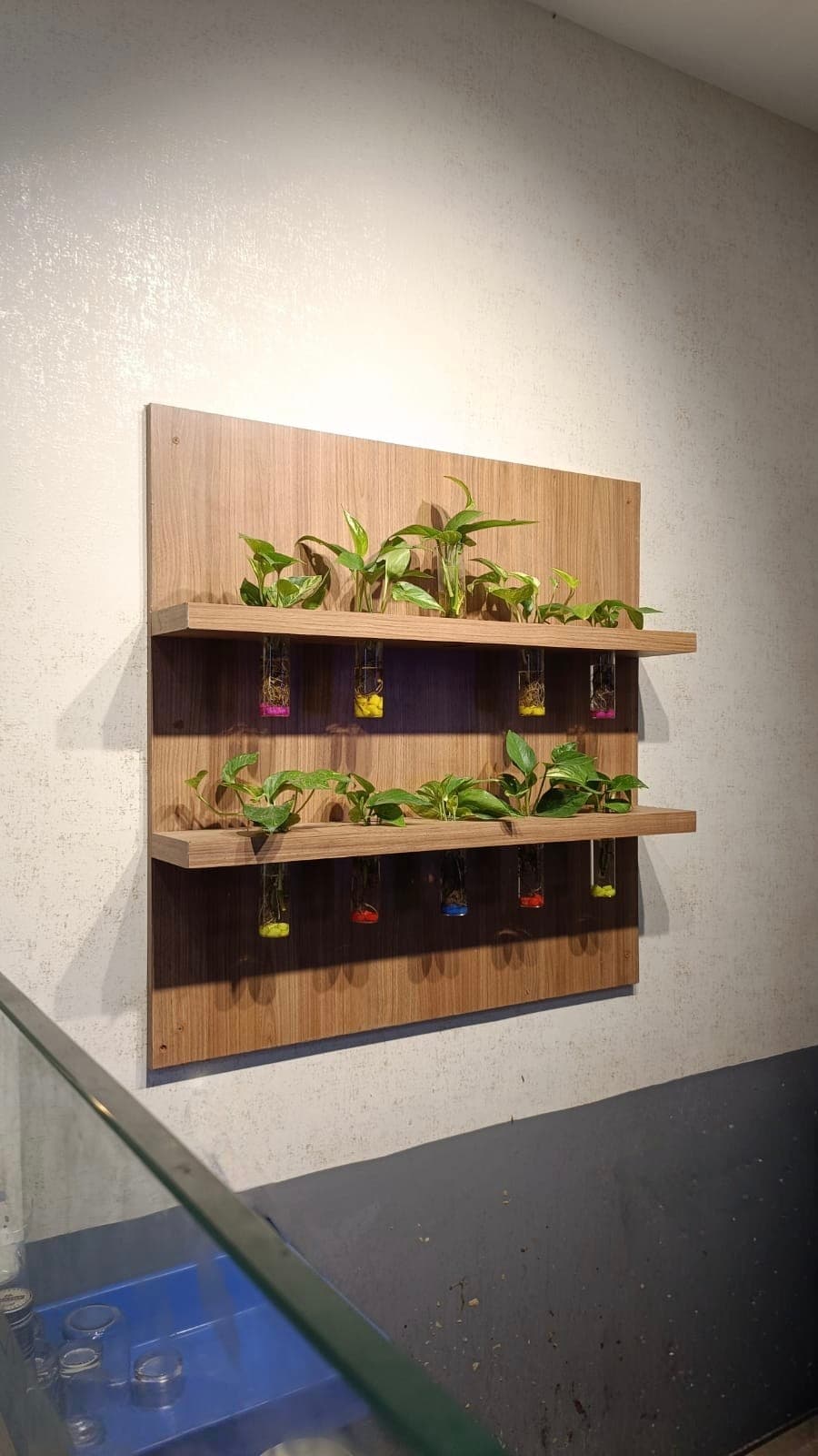 Wall Planter Display